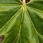 De Oude Slaght- Luxe Met Buitensauna 赞丹