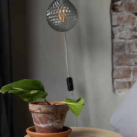 De Oude Slaght- Luxe Met Buitensauna Bed & Breakfast *