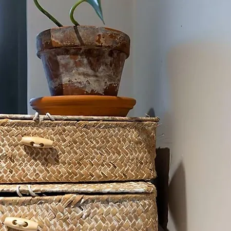 De Oude Slaght- Luxe Met Buitensauna