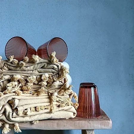 De Oude Slaght- Luxe Met Buitensauna Holiday home Zaandam