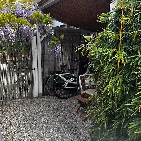 De Oude Slaght- Luxe Met Buitensauna Semesterbostad