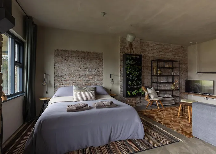 De Oude Slaght- Luxe Met Buitensauna