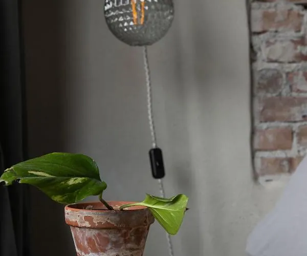 De Oude Slaght- Luxe Met Buitensauna 度假居 *